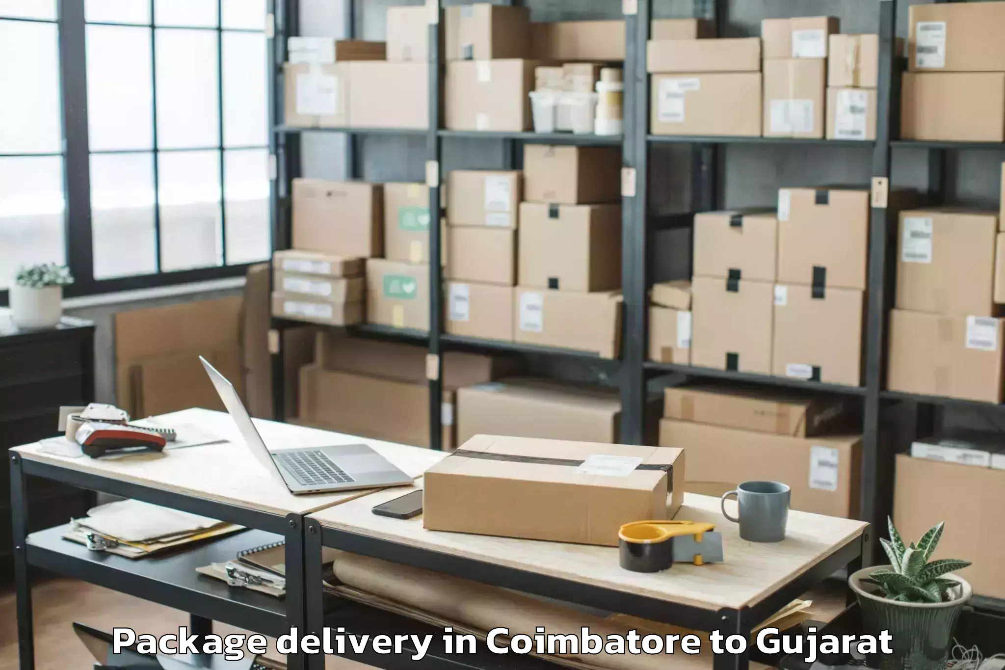 Affordable Coimbatore to Thasra Package Delivery